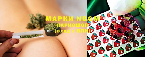 индика Бутурлиновка